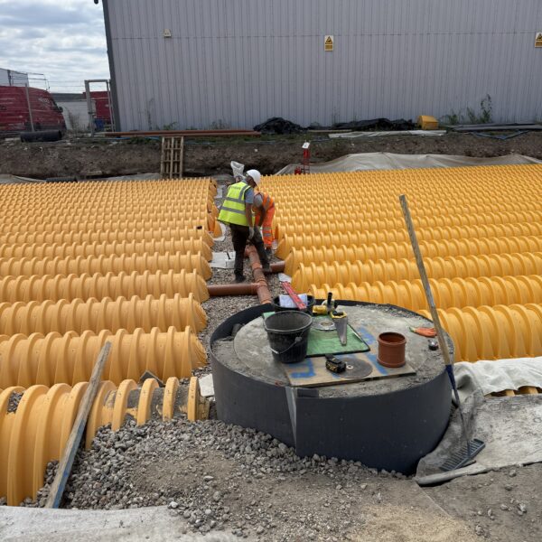 IMG_1138